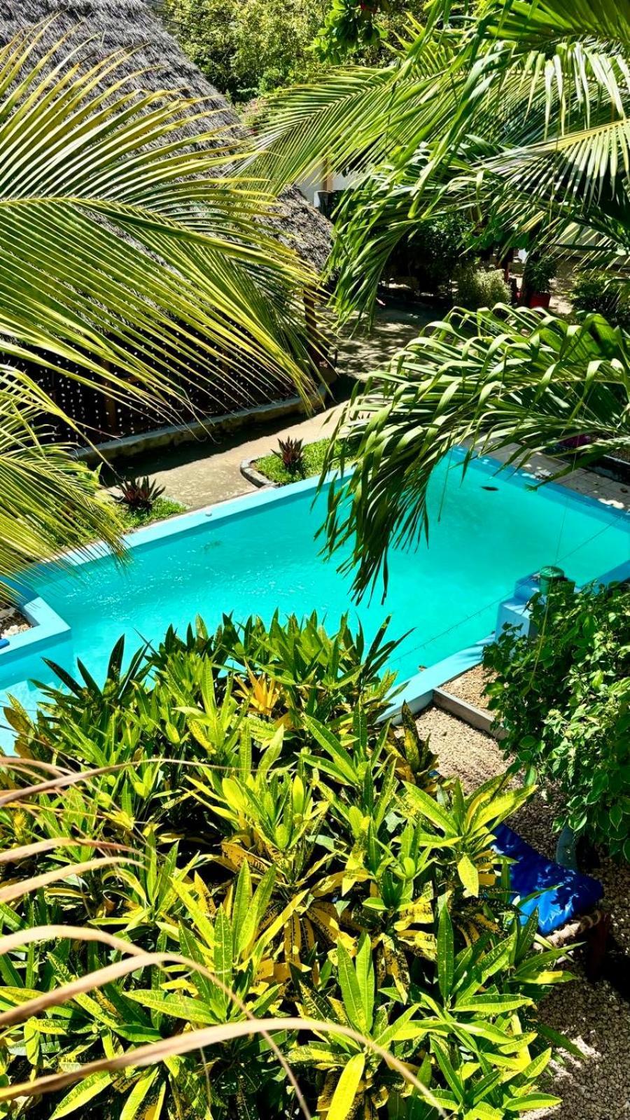 Kilimanjaro Bed and Breakfast Nungwi Exteriör bild